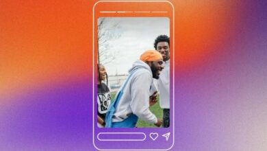 Instagram Story Viewer